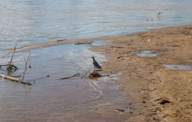 Igreja pedra rio Minas Gerais Brasil