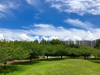 千葉県浦安市の公園