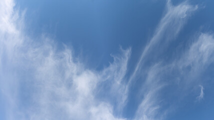 Cloudscape with the white clouds