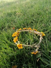 Corona de flores