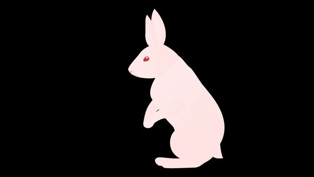 シンプルなウサギが周りを警戒しながら走るループアニメーション、透過背景