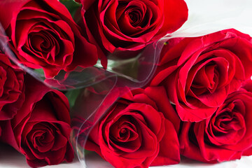 Red roses bouquet texture white background.