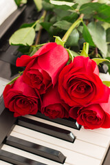 Red roses piano keys romantic background.