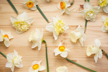 Yellow daffodil flowers on wooden background. Top view.