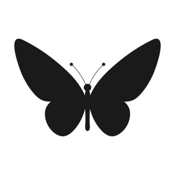 Butterfly silhouette. Butterfly shape. Vector illustration isolated on white.