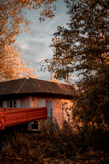 moody house in the woods
