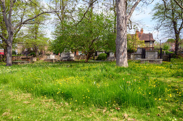 Dulwich Village, London, UK: Dulwich Old Burial Ground in Dulwich, south London. The old burial...