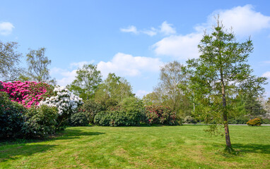 Naklejka premium Dulwich Village, London, UK: Lawn, flowers and trees in the American Garden in Dulwich Park. Dulwich Park is a public park in south London. 