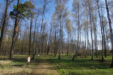 Stefan Białobok arboretum in Stradomia Dolna - obrazy, fototapety, plakaty