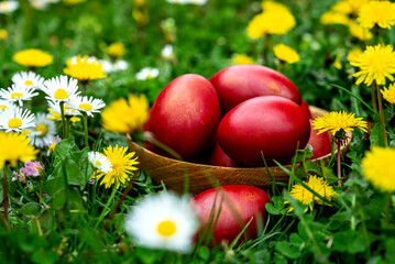 Bowl with easter eggs on flowers meadow