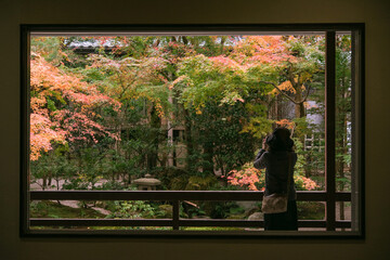 秋の島根県・足立美術館　窓から見える坪庭の紅葉と写真を撮る観光客　Courtyard of Adachi Museum of Art in autumn