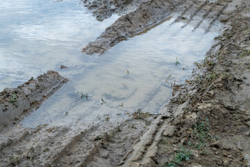 Big car wheel trace on road, puddle and mud