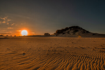 sunset in the desert