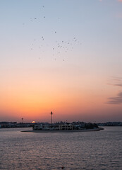 Fototapeta premium Sunset view on the Palm Jumeirah in Dubai with birds in the air