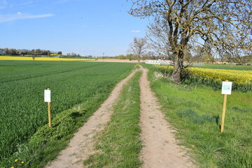 Weg mit Storchenwarnschildern