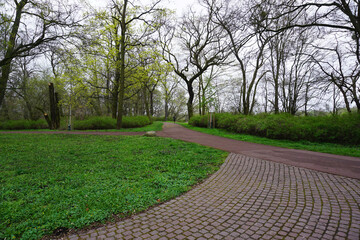 Weg durch den Rotehornpark in Magdeburg im Frühling