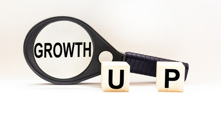 On a magnifying glass, the word GROWTH and the text of the wooden cubes UP indicate the purpose of...