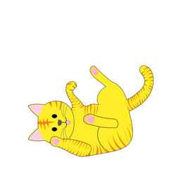 A playing tabby cat with white background