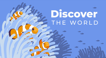 Fototapeta na wymiar Clown fish among water anemones. Underwater landscape of tropical waters. Poster ideas for diving, recreation, environmental protection. Flat vector illustration