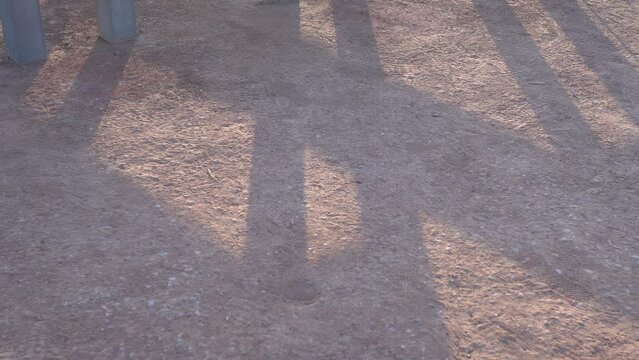 Closeup of chairs at baseball field.