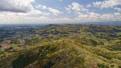 Obraz premium コントラストが鮮やかな山桜の空撮