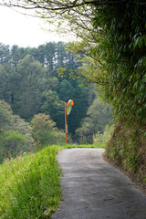 農道とカーブミラー