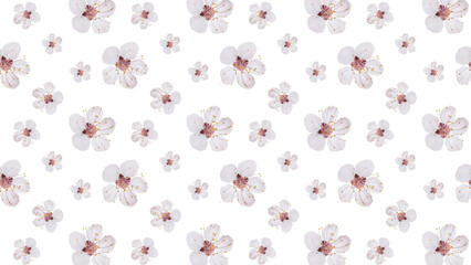 Spring pattern on a white background.