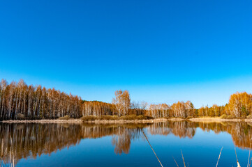 A forest lake on a spring morning in Samarskaya Luka National Park!