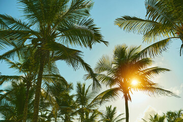Obraz na płótnie Canvas Coconut palm tree on beach with sunlight in summer - vintage color tone. Selective focus