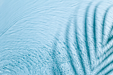 Water background. Blue aqua texture, surface of ripples, transparent palm leaf shadows and...