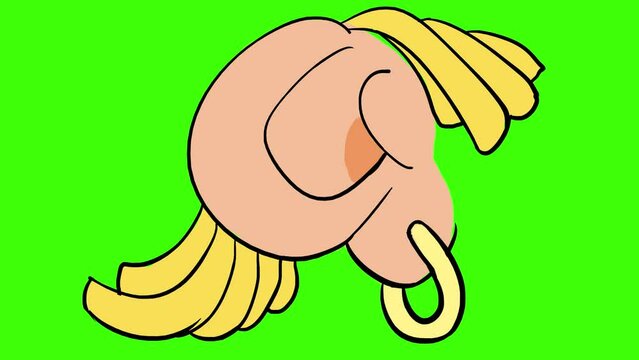 Noodles on the ears on a green screen. Cartoon ear with pasta in 2D style. A symbol of lies and propaganda. Stock motion video with the organ of hearing.