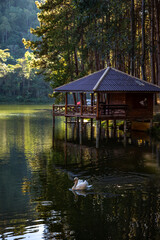 Obraz premium Pang Oung national park, lake and forest of pine trees in Mae Hong Son, Thailand