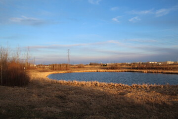 Fototapeta na wymiar Golden Spring Evening, Pylypow Wetlands, Edmonton, Alberta