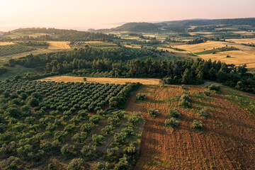 Aerial view of countryside with field and olive plantation, Chalkidiki, Greece