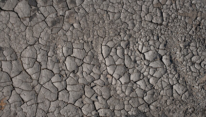 parched soil suffering from drought due to global warming