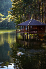 Pang Oung national park, lake and forest of pine trees in Mae Hong Son, Thailand