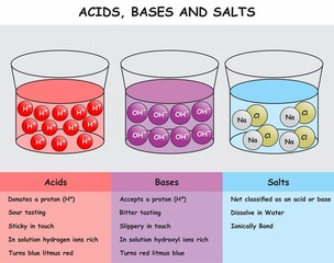 Acids Bases and Salts infographic diagram showing solution with comparison table and their major properties for chemistry science education vector