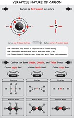 Versatile Nature of Carbon Infographic Diagram showing tetravalent due to valence electrons and how carbon can for single double and triple bonds with examples for chemistry science education vector