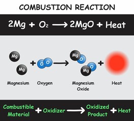 Combustion Reaction Infographic Diagram with example of magnesium reacting with oxygen producing magnesium oxide and heat for chemistry science education poster vector