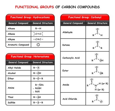 Functional Groups of Carbon Compounds Infographic Diagram including hydrocarbons heteroatoms and carbonyl with general compound and structure for chemistry science education poster vector