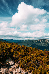 Fototapeta premium landscape of the mountains