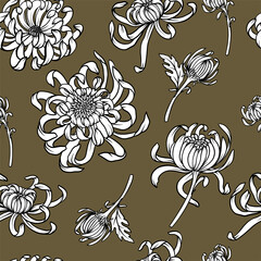 Seamless pattern with monochrome .chrysanthemums. Vector trendy print.