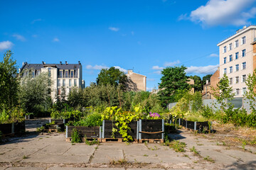 Urban gardening - community garden in center of the city with raised beds. Urban Horticulture....