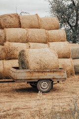 A stack of hay loaded in the trailer after the harvesting of the crops. The concept of harvesting,...