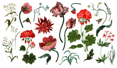 Botanical victorian flowers and bugs isolated. Tulip, peony and other. - obrazy, fototapety, plakaty