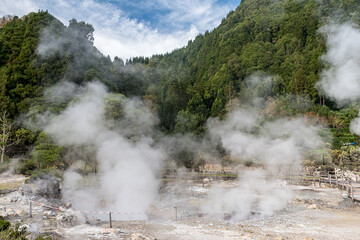 Steamy hot springs near the shores of Lagoa das Furnas, in the Sao Miguel island. Azores, Portugal.