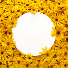 Frame of bright and warm yellow summer flowers with blank white paper for text.