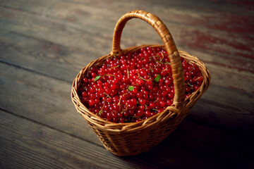 Fototapeta na wymiar Wicker basket with red currant berries. Summer gathering of wild berries. Natural vitamins from berries.