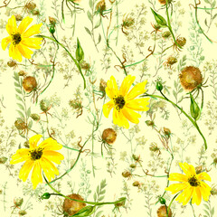 Watercolor seamless background floral pattern. grass and plant flowers, burdock, thistle, alga, wild herbs. Floral pattern, Illustration is made of hand-made in clipart graphics colors.sunflower