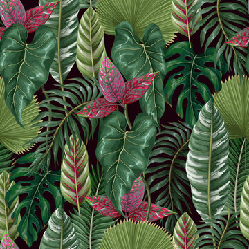 Seamless pattern with tropical leaves such as palm leaf, monstera and other.Vector.